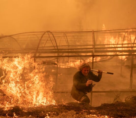 Calor extremo e incendios sin control azotan a España incendios España