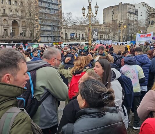 Triunfo de la lucha de Discapacidad contra el veto de Milei Discapacidad