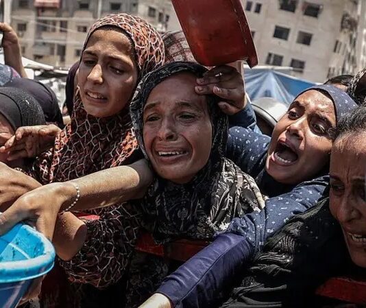 Genocidio sin fin (XVII): la ONU decreta oficialmente la hambruna en Gaza, mientras Israel avanza en la ocupación del enclave y en Cisjordania Hambruna en Gaza