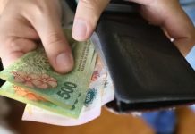 Breve “radiografía” estructural de los salarios en la Argentina Salarios ingreso laboral