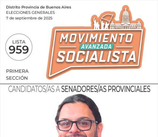 Las boletas de Manuela Castañeira y el Nuevo MAS en la Primera Sección de la Provincia de Buenos Aires Primera sección Provincia de Buenos Aires