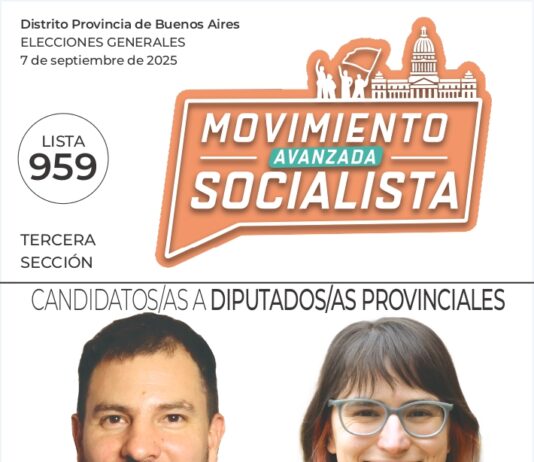 Las boletas de Manuela Castañeira y el Nuevo MAS en la Tercera Sección de la Provincia de Buenos Aires Tercera Sección de la Provincia de Buenos Aires