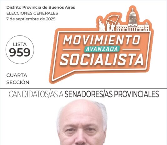 La boleta de Manuela Castañeira y el Nuevo MAS en la Cuarta Sección de la Provincia de Buenos Aires Cuarta sección Provincia de Buenos Aires