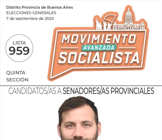 Las boletas de Manuela Castañeira y el Nuevo MAS en la Quinta Sección de la Provincia de Buenos Aires Quinta sección Provincia de Buenos Aires