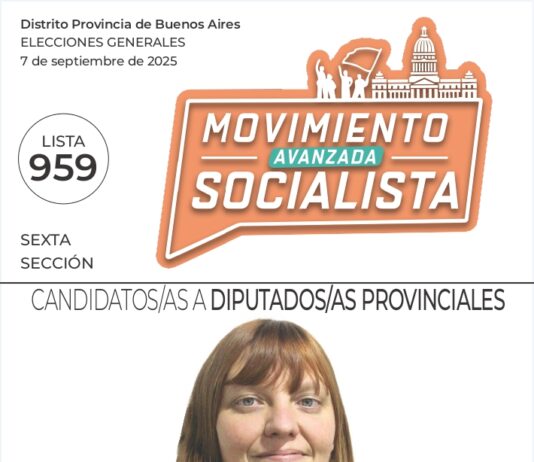 La boleta de Manuela Castañeira y el Nuevo MAS en la Sexta Sección de la Provincia de Buenos Aires Sexta sección Provincia de Buenos Aires