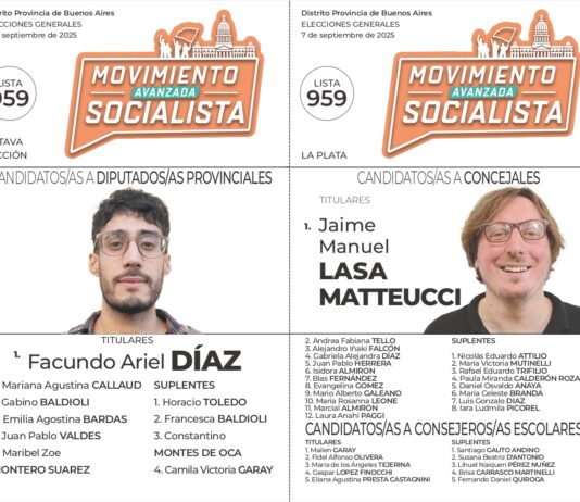 La Plata: la boleta de Manuela Castañeira y el Nuevo MAS en la Octava Sección de la Provincia de Buenos Aires La Plata boleta