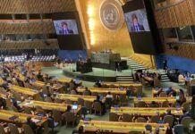 Milei en la ONU: cipayismo chupamedias y complicidad con el genocidio en Gaza Milei ONU