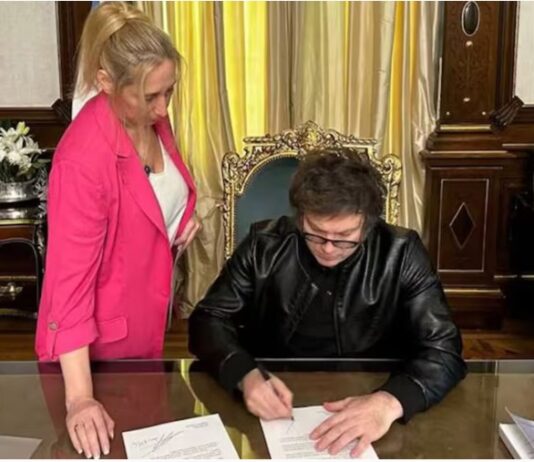 Los nuevos vetos de Milei: una provocación que se le puede volver en contra veto Milei