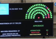 Se cayó definitivamente el veto: triunfo de la lucha de Discapacidad contra Milei veto Discapacidad