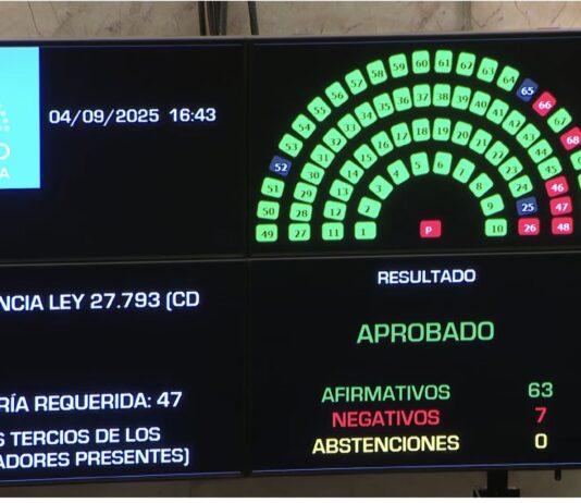 Se cayó definitivamente el veto: triunfo de la lucha de Discapacidad contra Milei veto Discapacidad