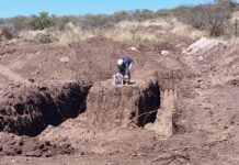 Hallazgo de restos óseos humanos en La Perla Restos humanos Córdoba