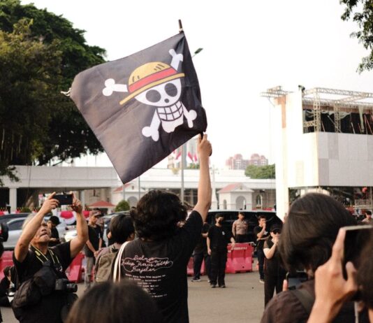 ¿Qué significa la bandera pirata que ondea en las protestas del mundo? One Piece
