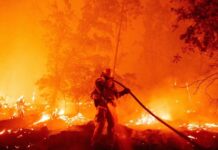 La temporada mundial de incendios aumentó 40 días debido al cambio climático Incendios forestales