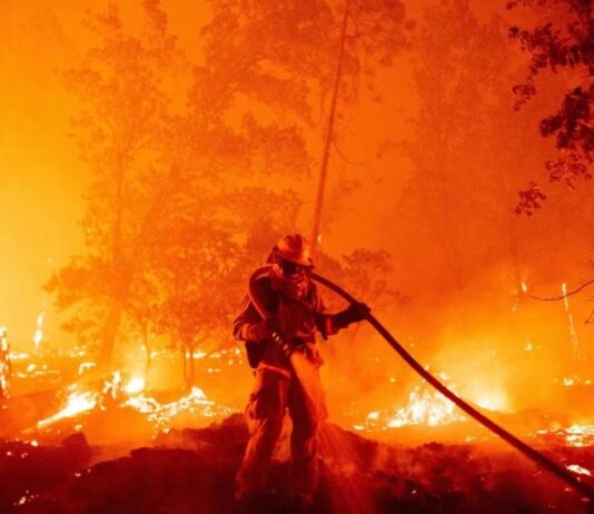 La temporada mundial de incendios aumentó 40 días debido al cambio climático Incendios forestales