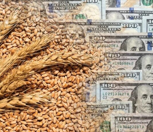 Un puñado de firmas se quedaron con todos los dólares de los 3 días de retenciones cero de Milei Retenciones cero