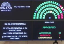 Doble derrota de Milei: cayeron en el Senado los vetos al Financiamiento Universitario y el Garrahan Senado vetos