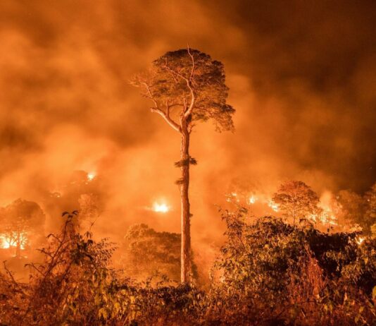 Incendios en el Amazonas provocan emisiones record CO2 Amazonas incendios