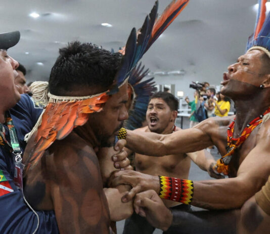 COP30: Capitalismo verde y la ficción del Acuerdo de París COP30