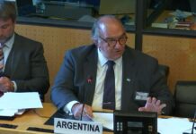 El subsecretario de Derechos Humanos de Milei negó en la ONU a los 30 mil desaparecidos Derechos Humanos ONU