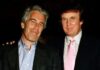 «Sabía de las chicas»: nuevas revelaciones de la complicidad de Trump con el traficante de menores Jeffrey Epstein Epstein Trump