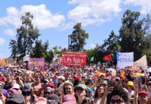 Las feministas anticapitalistas en el 38° Encuentro de Mujeres y Diversidades contra Milei 38 Encuentro