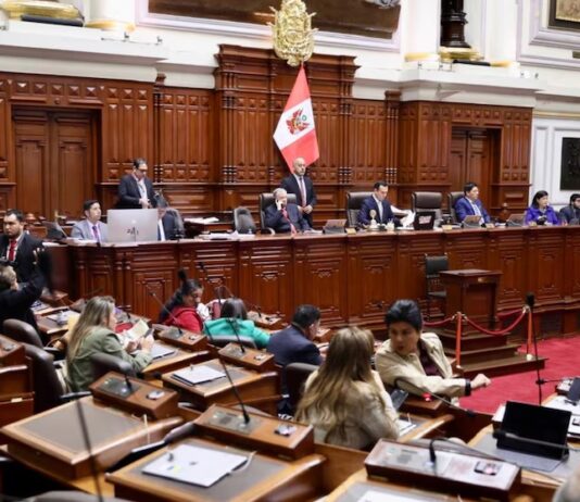 PerĂș: proponen proyecto de ley para censurar a quienes âllamen a no votar por un candidatoâ PerĂș