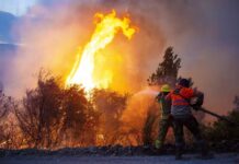 El fuego arrasa con los bosques en Chubut ante la inaccion del gobierno Chubut fuego