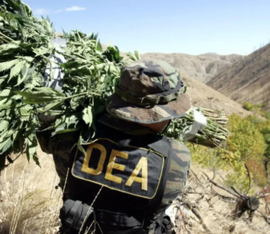 El gobierno de Paz se somete a Trump y permite el regreso de la DEA DEA Bolivia