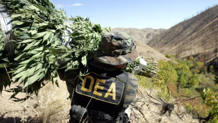 DEA Bolivia