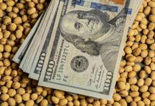 Argentina 2026: recesión, desacumulación y dudas en la previa de la Contrarreforma Laboral reprimarización economía