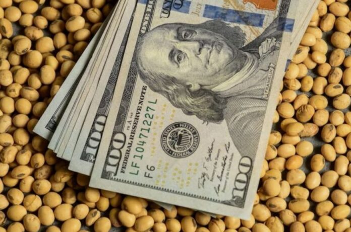 reprimarización reprimarización economía